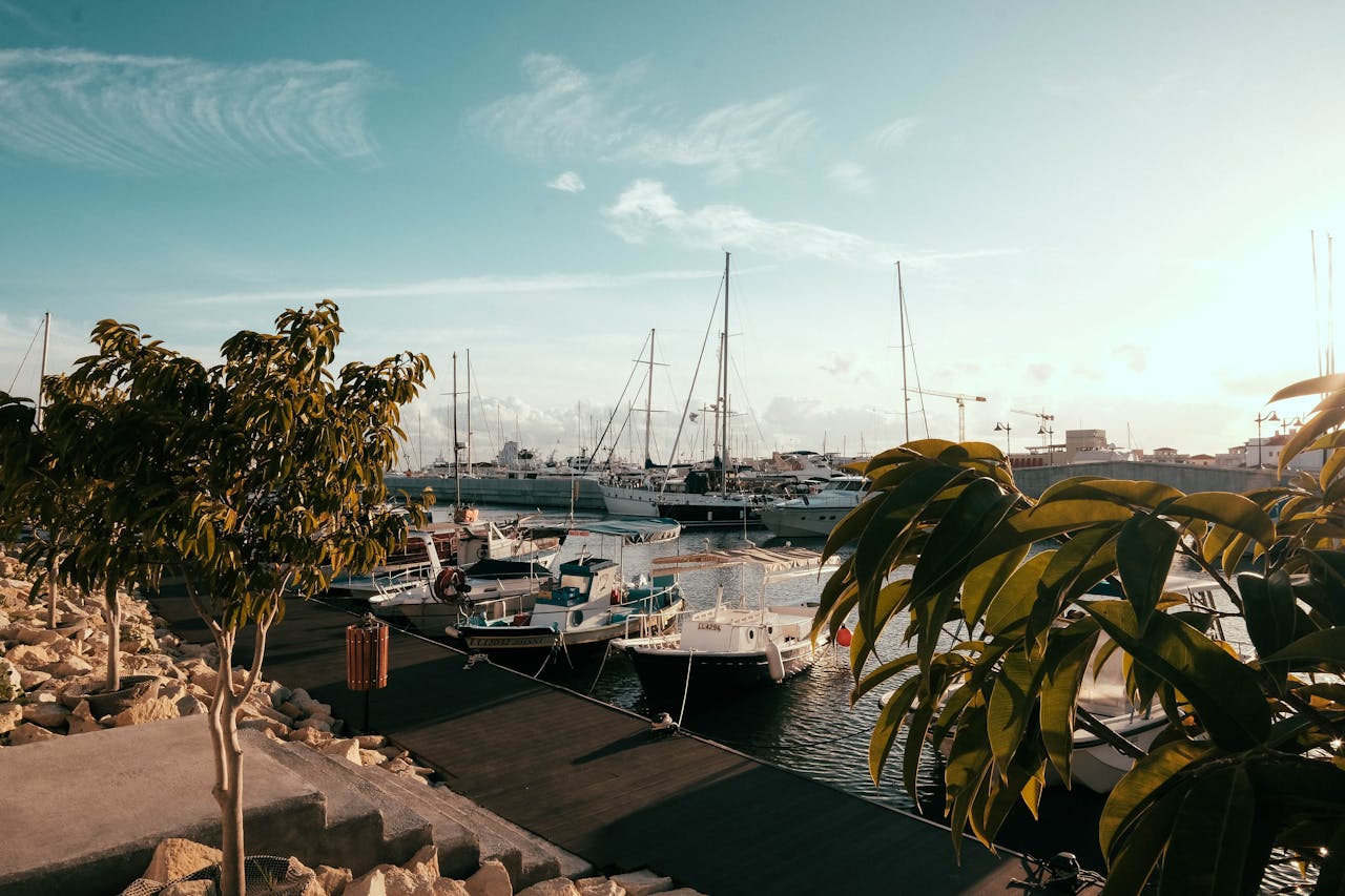 A serene view of a marina in Cyprus featuring sailboats, yachts, and lush greenery under a clear sky.